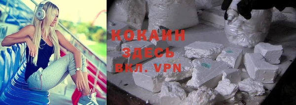 кокс Алексин
