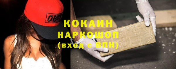 кокс Алексин