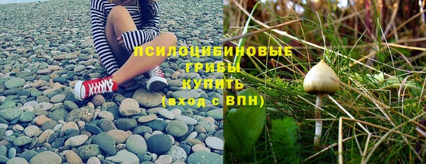 тгк Алексеевка